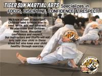 Tiger Sun Martial Arts image 4